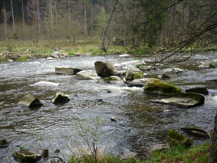 1720100051.JPG
