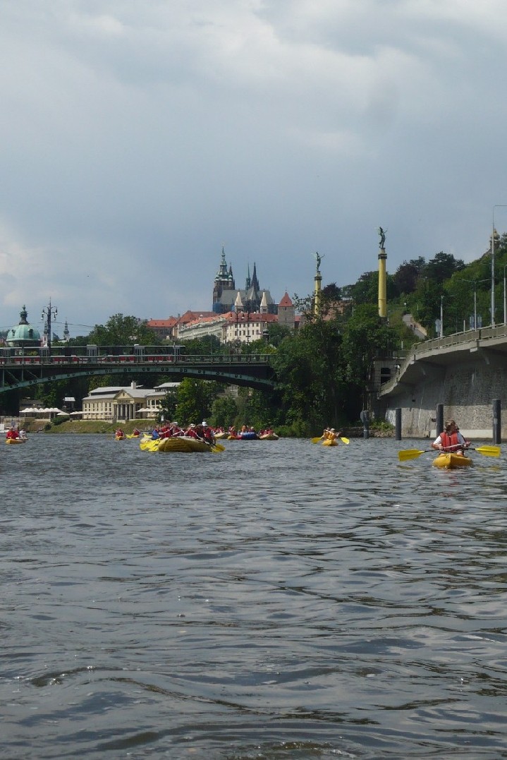 P1040354.JPG