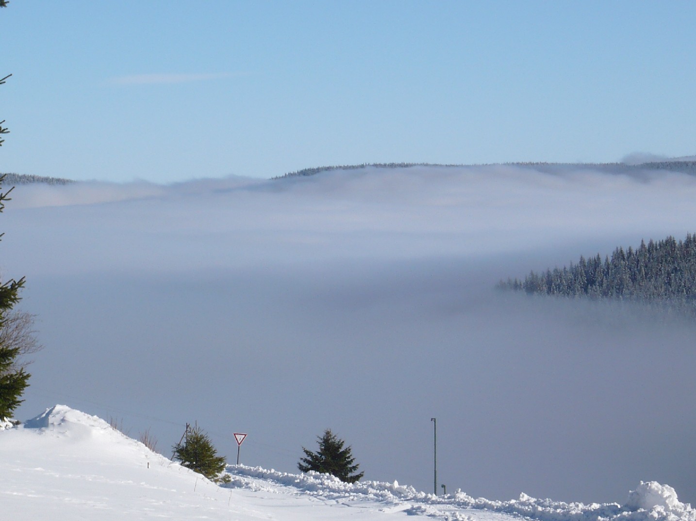 V0013.JPG