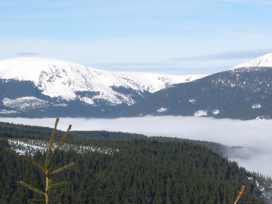 V0016.JPG