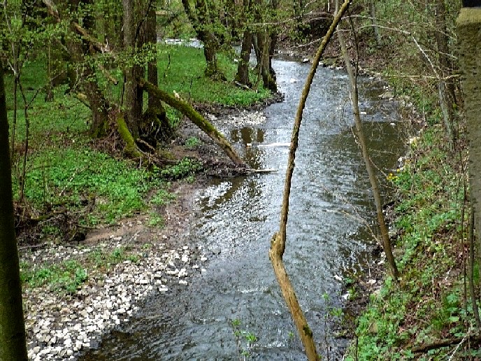 Vavřinec01