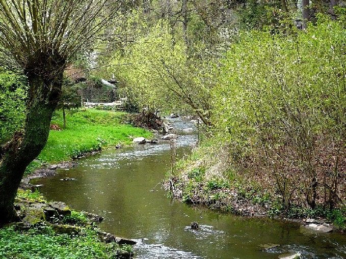 Vavřinec02