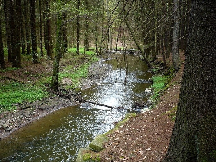 Vavřinec05