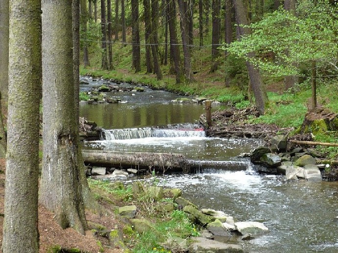 Vavřinec08