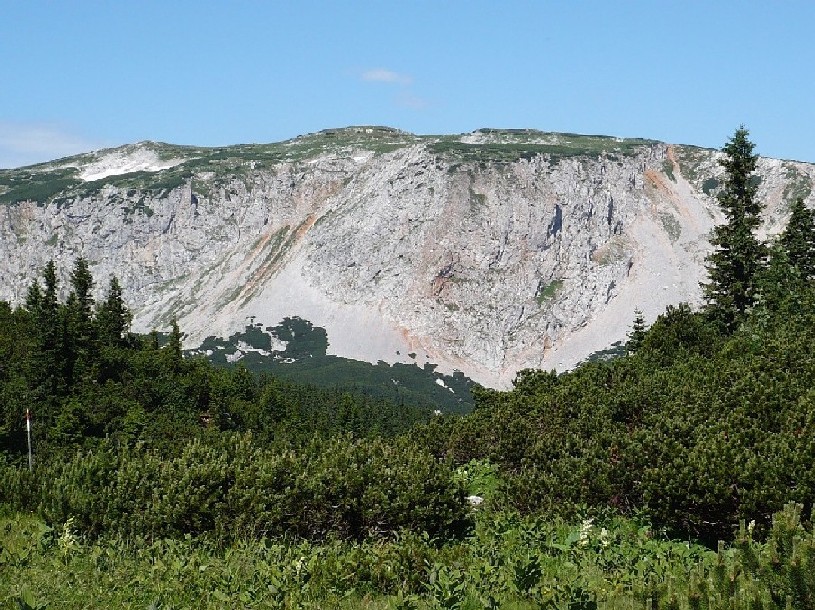 Raxalpe - Scheibwaldhohe 1