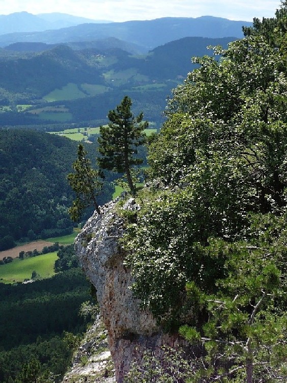 Na okraji Hohe Wand